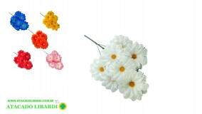 BQ DALIA X7 70CM BG307025