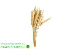 TRIGO HASTE DESIDRATADO ALVEJADO 65CM 40207