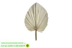 FOLHA DE LEQUE 60CM BG310021