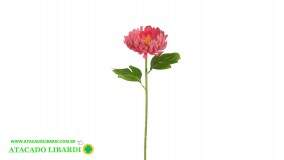  CRISANTEMO 54CM ROSA  87684002