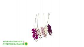 ORQUIDEA PHALAENOPSIS  X9 104CM 44324BR
