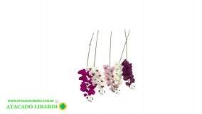 ORQUIDEA PHALAENOPSIS  X9 104CM BRANCO PINK 44324BRPK