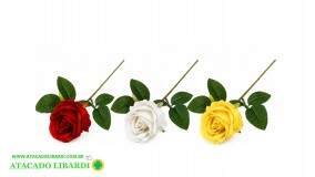HASTE DE ROSA UNI 50CM BG510369CL
