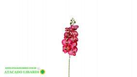 ORQUIDEA PHALAENOPSIS  X9 100CM REAL TOQUE 41965MIX