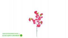 CEREJEIRA 95CM PINK 42172PK
