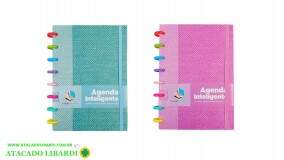 CADERNO 1/4  INTELIGENTE COLOR HA85163