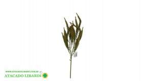 CAPIM HASTE 75CM BG410130