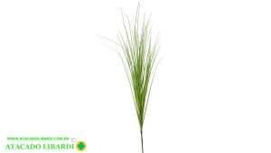 CAPIM VERDE HASTE 60CM 43253VDC