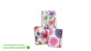 CADERNO INTELIGENTE 80 FOLHAS  COLOR HA78440