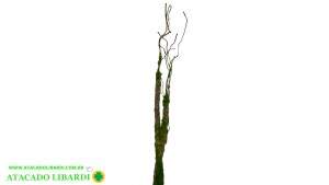 VIME HASTE C/ MUSGO 90CM 42767