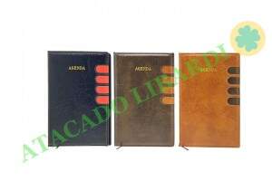 AGENDA EXECUTIVA PERMANENTE 140X200MM AG25901