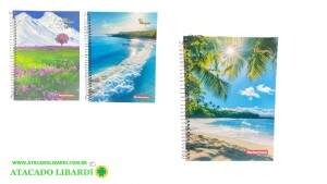 CADERNO UNIVERSITARIO 1MT/80F CD ESPIRAL PAISAGEM 3251