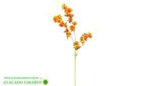 LIRIO HASTE PRIMAVERA X5 105CM BG391306V