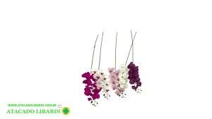 ORQUIDEA PHALAENOPSIS  X9 104CM BRANCO PINK 44324BRPK