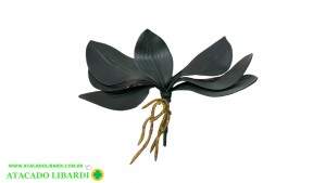 FOLHA ORQUIDEA C/RAIZ 25CM C/7 FOLHAS 42608