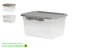 ORGANIZADOR PLAST 4,4L COLOR 184CL