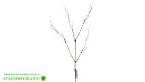 VIME HASTE  50CM 43022