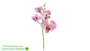 ORQUIDEA PHALAENOPSIS 39CM C/5 FLORES 43608BRLV