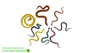 SOLAPA COBRAS COLOR 8PCS MD11804