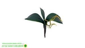 FOLHA ORQUIDEA C/RAIZ 26CM C/3 FOLHAS 42604